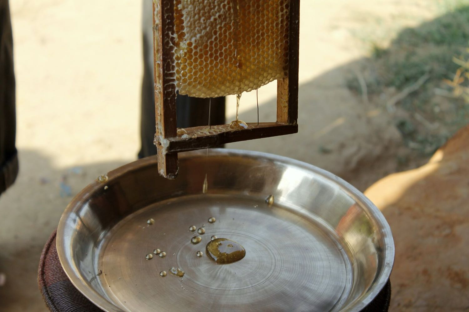 From smallholder harvest to branded, traceable, demand-matched produce.