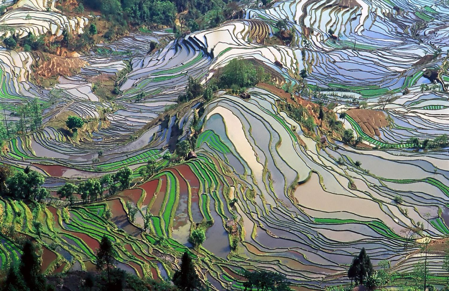 Datong Village, Lijiang · Yunnan